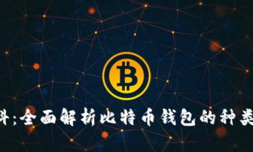 比特币钱包百科：全面解析比特币钱包的种类、功能与安全性