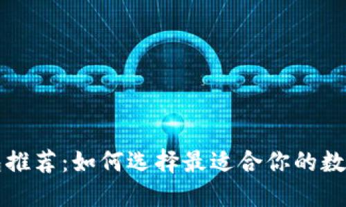 比特币安全钱包推荐：如何选择最适合你的数字资产保护方案