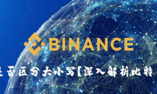 比特币钱包地址是否区分大小写？深入解析比特币钱包的地址系统
