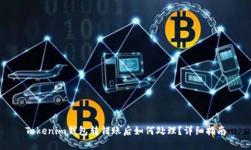 Tokenim钱包转错账后如何处理？详细指南