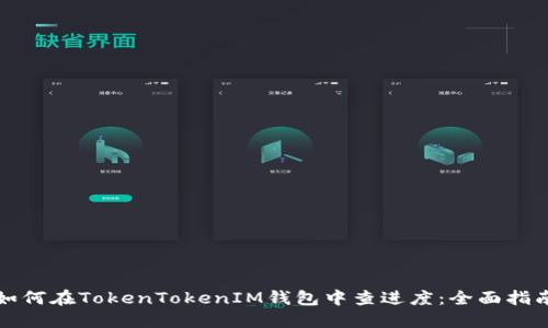 如何在TokenTokenIM钱包中查进度：全面指南