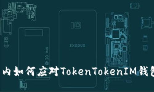 标题国内如何应对TokenTokenIM钱包限制？