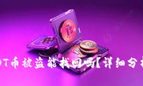 钱包里的USDT币被盗能找回吗？详细分析与应对措施