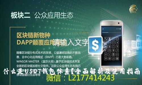 什么是USDT钱包体系？全面解析及使用指南