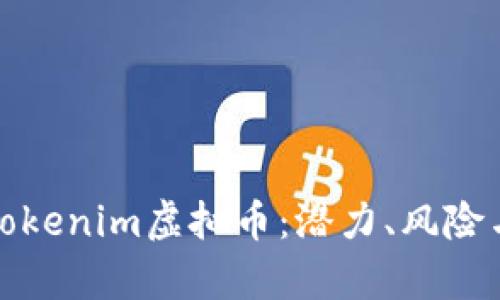 全面解析Tokenim虚拟币：潜力、风险与投资策略