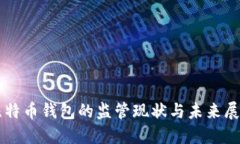 比特币钱包的监管现状与