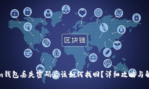 Tokenim钱包丢失密码后该如何找回？详细攻略与解决方案