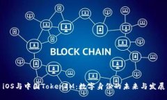 iOS与中国TokenIM：数字身份