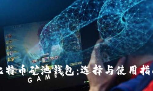 比特币矿池钱包：选择与使用指南