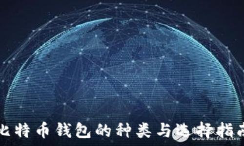比特币钱包的种类与选择指南
