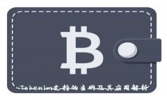 Tokenim支持的主网及其应用