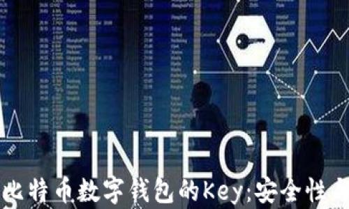 
深入了解比特币数字钱包的Key：安全性与使用指南