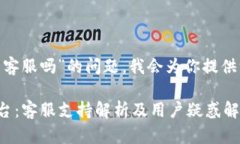 关于“tokenim没有客服吗”