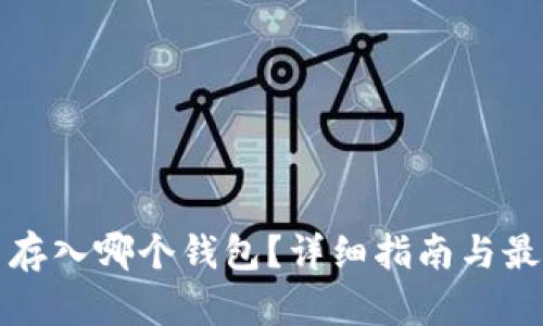 比特币存入哪个钱包?详细指南与最佳选择