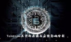 Tokenim关停的原因及后续影