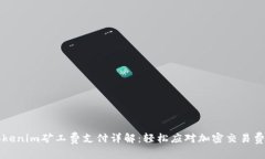 Tokenim矿工费支付详解：轻