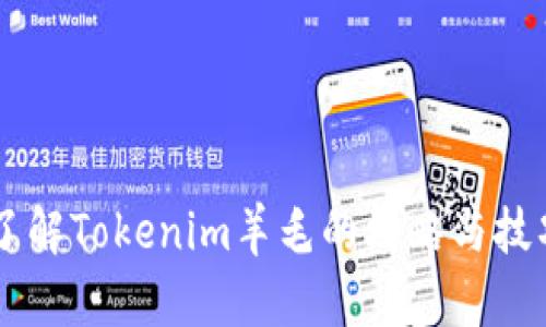 了解Tokenim羊毛的攻略与技巧