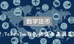 深入探讨：Tokenim钱包被盗