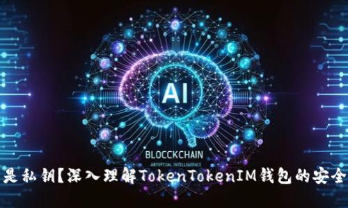 什么是私钥？深入理解TokenTokenIM钱包的安全基础