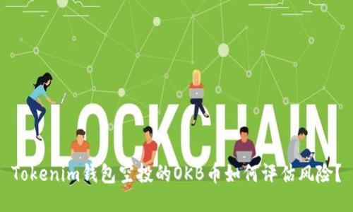 Tokenim钱包空投的OKB币如何评估风险？