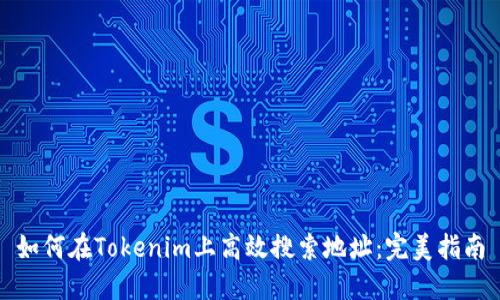 如何在Tokenim上高效搜索地址：完美指南