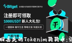 如何找回丢失的Tokenim狗狗