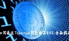如何通过Tokenim钱包购买