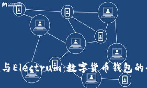 Tokenim与Electrum：数字货币钱包的全面比较
