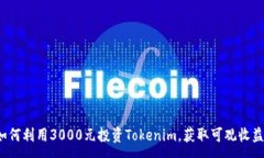 :如何利用3000元投资Token