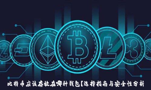   
比特币应该存放在哪种钱包？选择指南与安全性分析