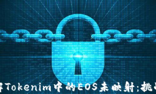 
深入理解Tokenim中的EOS未映射：挑战与机遇