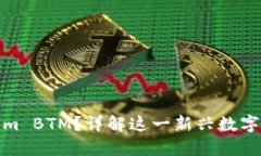什么是Tokenim BTM？详解这一