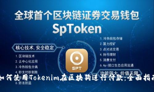 如何使用Tokenim在区块狗进行付款：全面指南