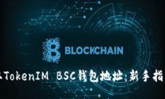 ### 如何获取TokenIM BSC钱包