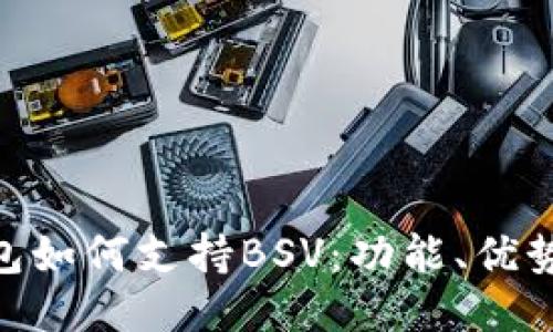 Tokenim钱包如何支持BSV：功能、优势与使用指南