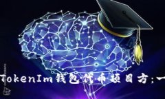 如何查询TokenIm钱包代币项