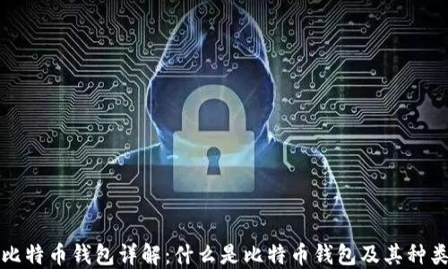 
比特币钱包详解：什么是比特币钱包及其种类