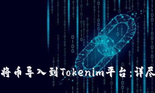 如何将币导入到Tokenim平台：详尽指南