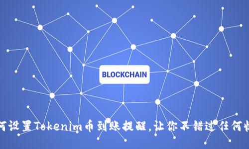 如何设置Tokenim币到账提醒，让你不错过任何收益