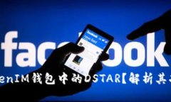 什么是TokenIM钱包中的DST