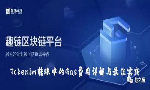 Tokenim转账中的Gas费用详解与最佳实践