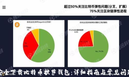 
如何安全下载比特币披萨钱包：详细指南与常见问题解答