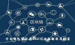 什么钱包可以存USDT？全面