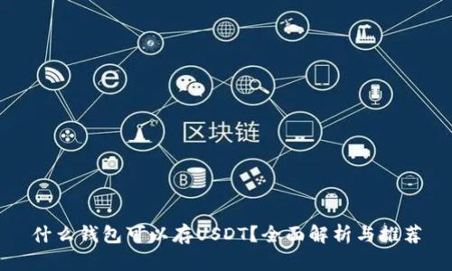 什么钱包可以存USDT？全面解析与推荐
