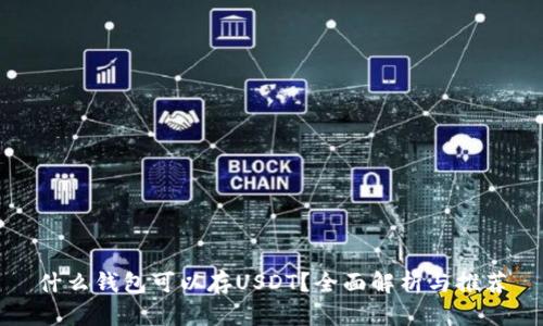 什么钱包可以存USDT？全面解析与推荐