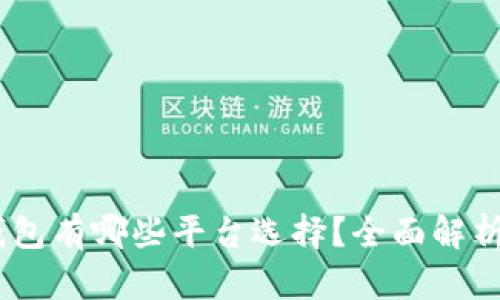 USDT钱包有哪些平台选择？全面解析与推荐