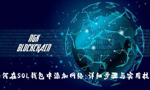 如何在SOL钱包中添加网络：详细步骤与实用技巧
