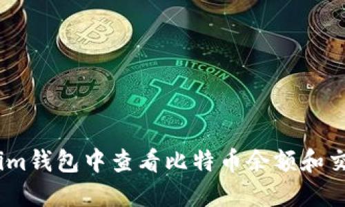 如何在im钱包中查看比特币余额和交易记录