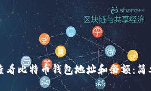 如何查看比特币钱包地址和余额：简单指南