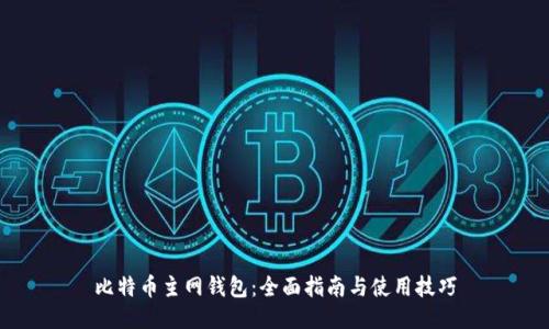 比特币主网钱包：全面指南与使用技巧